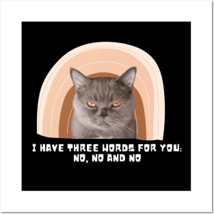 Grumpy Cat Fun with Rainbow Posters and Art